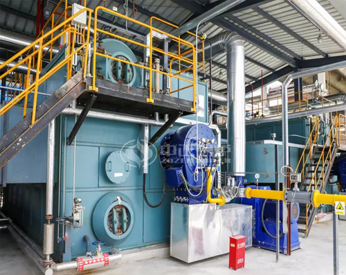 海大集團25噸和20噸SZS系列環保型燃氣蒸汽鍋爐項目